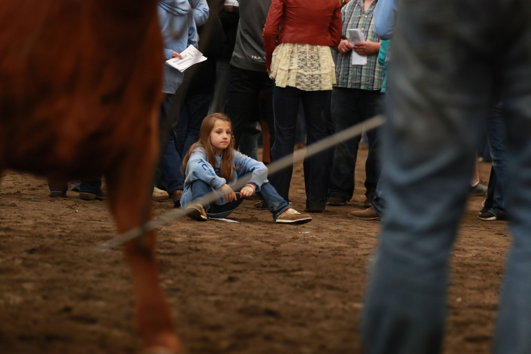 061819_RedAngusJudging01_bjs.JPG